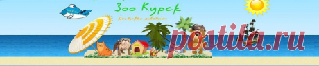 Перевозка, доставка животных по России. - Сайт kurskzoo!