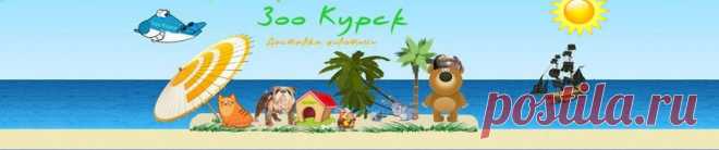 Перевозка, доставка животных по России. - Сайт kurskzoo!