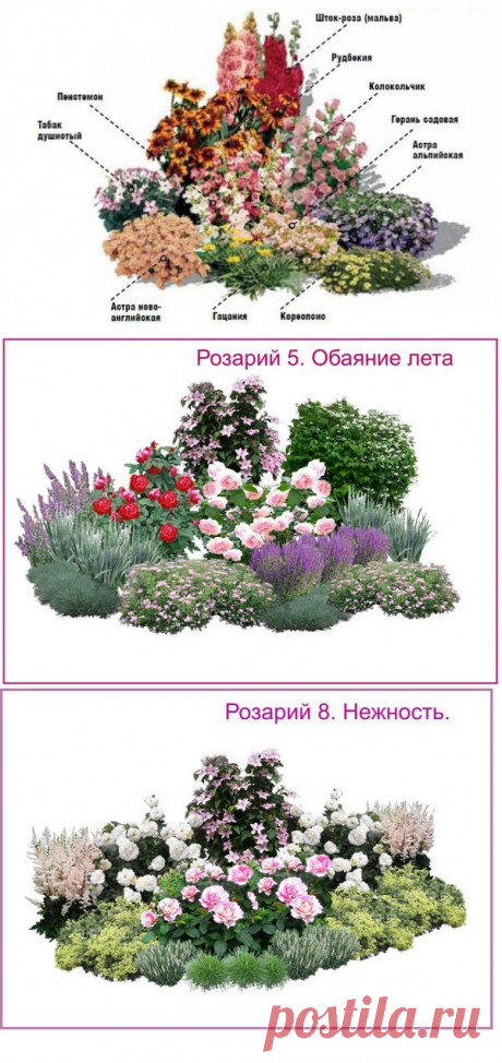 СОЗДАЙТЕ ЦВЕТНИК НЕПРЕРЫВНОГО ЦВЕТЕНИЯ