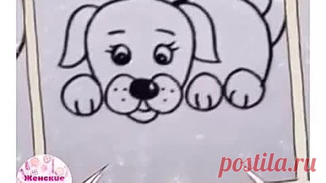 Способ нарисовать собачку