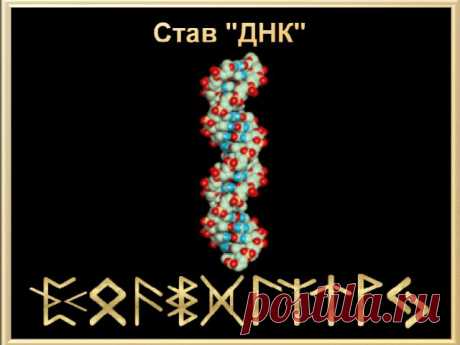 Став &quot;ДНК&quot; и Программа активации ДНК.