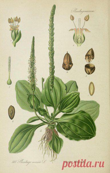 ~ MON PLAISIR ~ Вещи для души. Винтаж,Прованс.