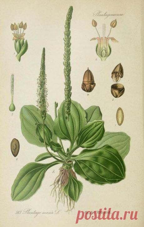 ~ MON PLAISIR ~ Вещи для души. Винтаж,Прованс.