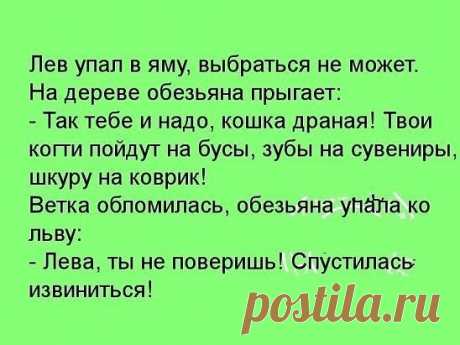 (9) Одноклассники