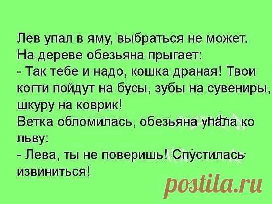 (9) Одноклассники