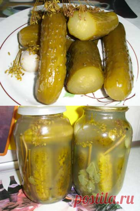 Огурцы соленые. Рецепт. Фото