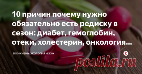 10 причин почему нужно обязательно есть редиску в сезон: диабет, гемоглобин, отеки, холестерин, онкология и др.