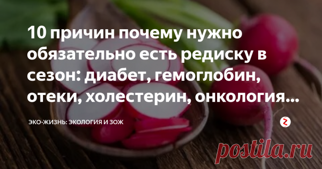 10 причин почему нужно обязательно есть редиску в сезон: диабет, гемоглобин, отеки, холестерин, онкология и др.