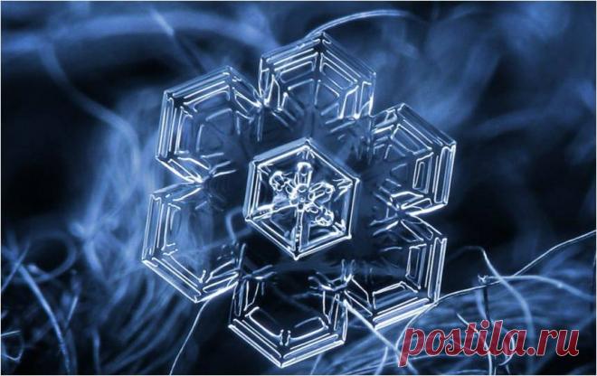 Секретные приемы съемки — abc-fotoscope.ru — Блог Вячеслава Слободчука