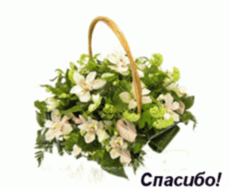 Виртуальная школа для малышей..