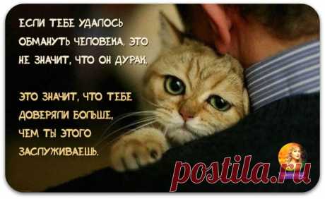 Интересные новости