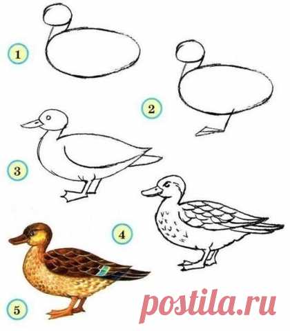 Рисуем с детками - Поделки с детьми | Деткиподелки