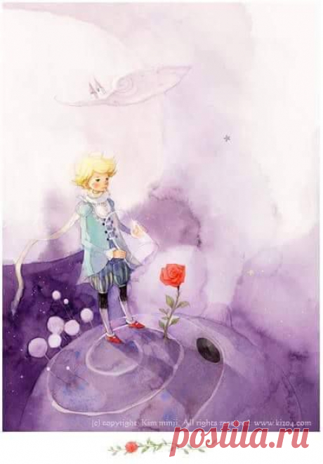 (49) Лилия Астр