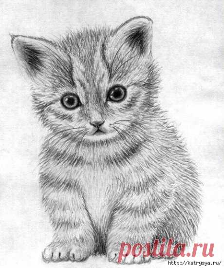 Рисуем котенка вместе с детьми!