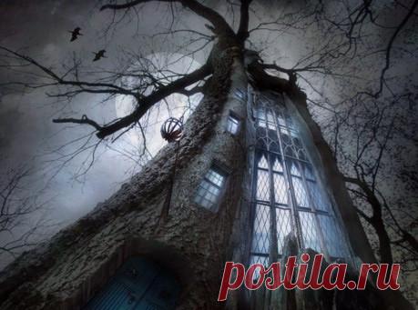 Фото феи настоящие? | Плюк Паранормальное и непознанное