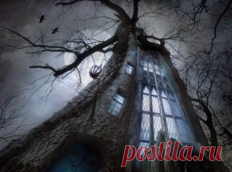 Фото феи настоящие? | Плюк Паранормальное и непознанное