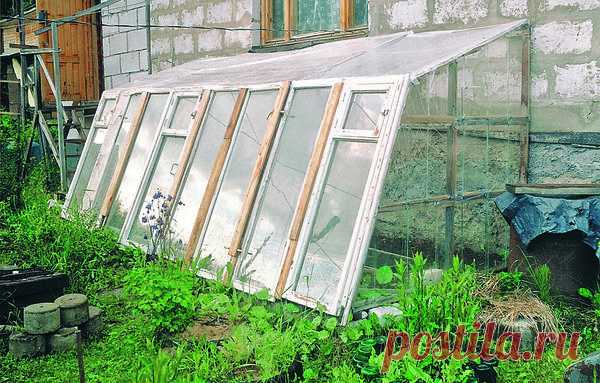 Пристенный парник своими руками из старых оконных рам