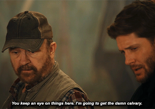 Винчестеры