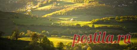 Лариса Лариса