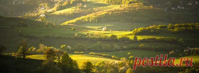 Лариса Лариса