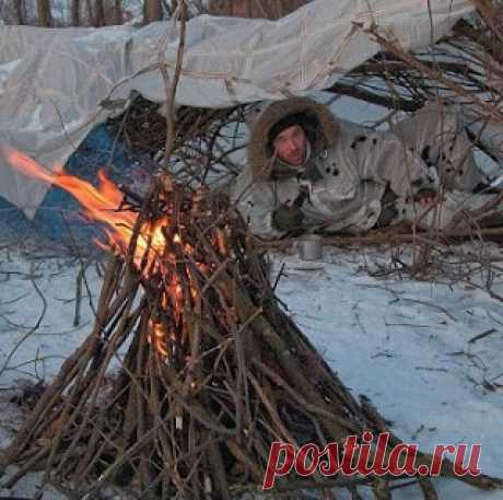 10 правил для выживания в лесу зимой (личный опыт)