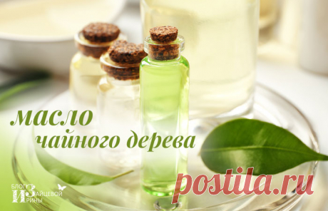 как избавиться от плесени