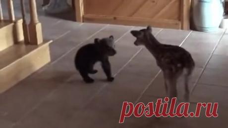 Не много позитива...