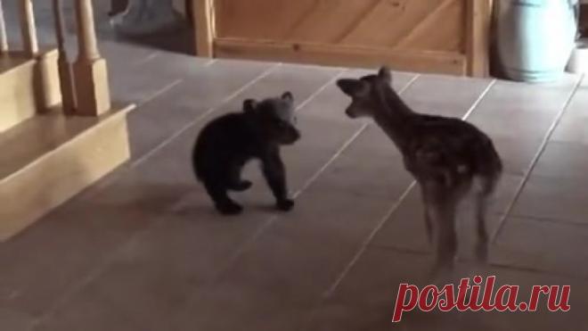 Не много позитива...