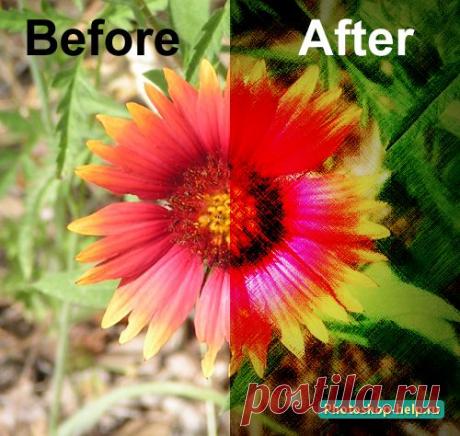 Фотоэффект Эскиз в Фотошопе