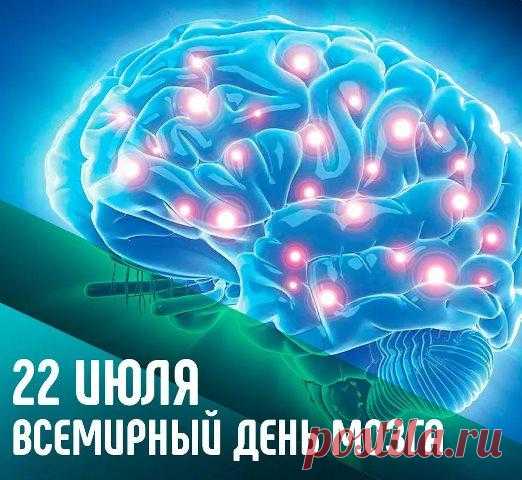 Головной мозг — главный орган центральной нервной системы человека. Несмотря на прогресс медицины, сделанные научные открытия в этой сфере, нервная система человека остаётся той областью, исследование которой продолжается.