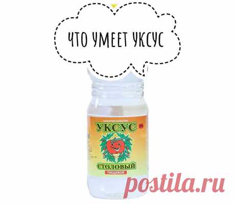 6 способов применения столового уксуса для дезинфекции жилья | Рекомендательная система Пульс Mail.ru