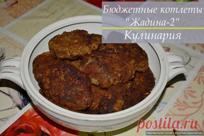 Бюджетные котлеты "Жадина-2" с рецептом. - Приличия трудно соблюсти.