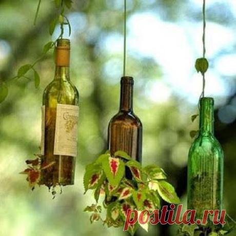 Сад огород – Сообщество – Google+