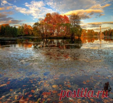 На больной зуб 
 
Текст произносят монотонно, повторить его нужно семь раз, прижимая указательным пальцем к больному месту: 
 
«Как опускается солнышко красное за горизонты прячется, как светлая луна тает в тучах, так пусть боли мои уйдут следом за солнышком, за луной, никогда пусть не возвращаются. Когда на небе месяц пропадает, не видно его за тучами, также пусть и хворь моя исчезнет, сгинет намертво». 
 
Другой текст нужно нашептать на воду. Налить ее в стеклянный стака...