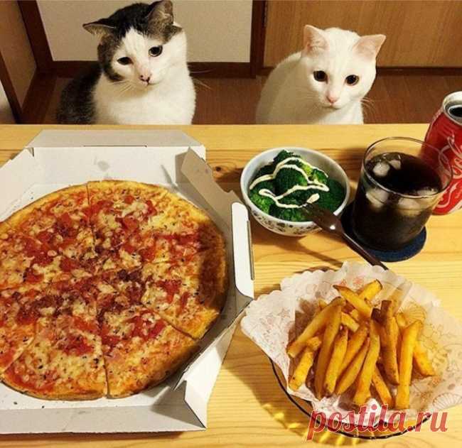 15 уморительных фото, на которых взгляд дороже тысячи слов