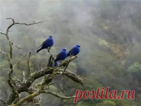 image.php (640×480)