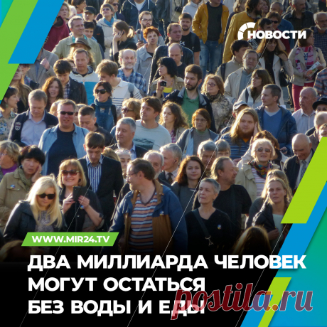 ЭКОЛОГИЯ