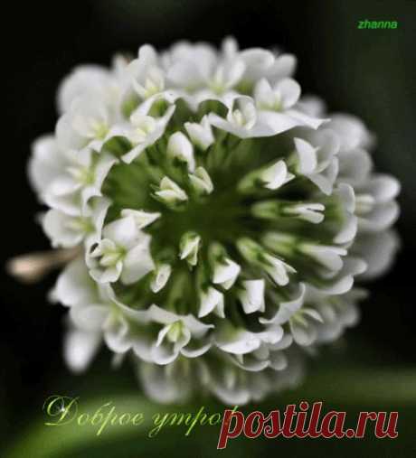 0_12a4d1_7f255772_orig (500×551)