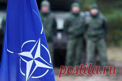 Российский ученый предрек поражение «шакалов из НАТО» в противостоянии с РФ