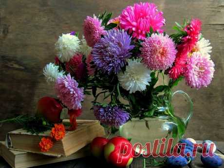 (7) Facebook