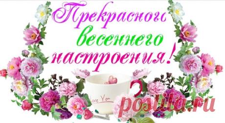 Наталья Пояркова