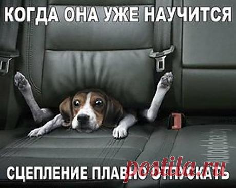 интересные фразы