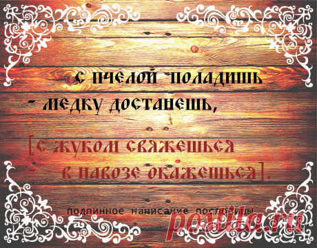 Народная мудрость