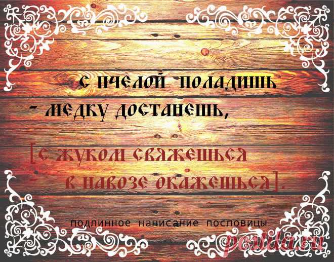 Народная мудрость