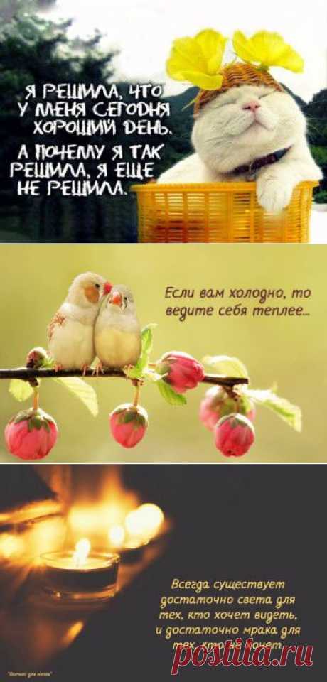 (+1) тема - Открытки с интересными мыслями | Полезные советы