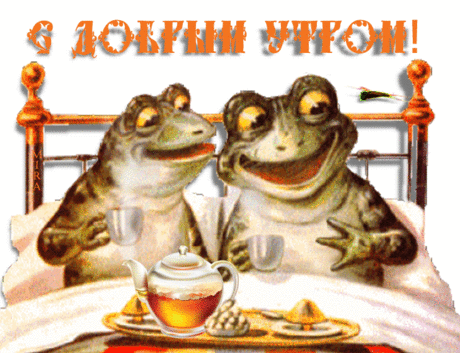 11084576.gif (730×560)