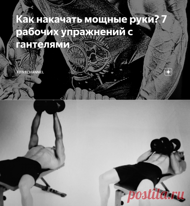 Как накачать мощные руки? 7 рабочих упражнений с гантелями | fitnechannel | Яндекс Дзен