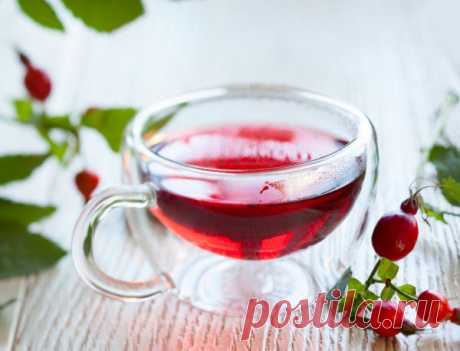 Чай из шиповника