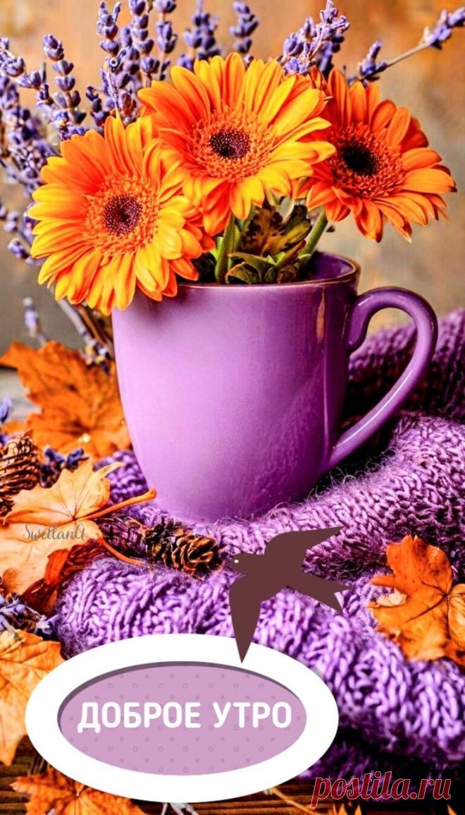 Доброе утро