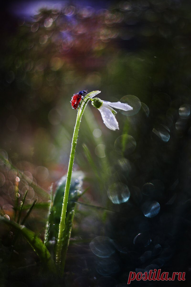i (800×1200)